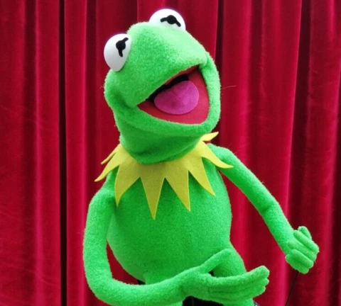 Kermit the Frog Full Body Professional Puppet Replica 28" Cover