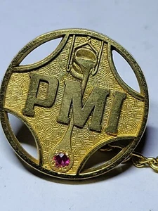 P MI Award Pin - Picture 1 of 4
