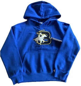 Youth Polo Ralph Lauren Hoodie Sweatshirt Size Medium Blue  Logo - Picture 1 of 3