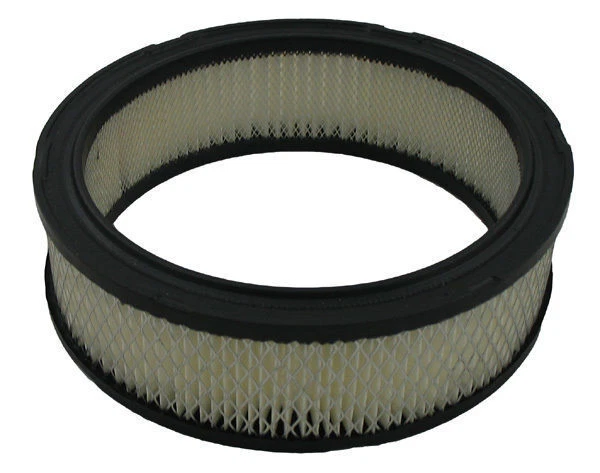 Filtro de aire para Chevrolet S10 1985-1993 con motor de 2,5 L 4 cilindros Foto 1 de 1