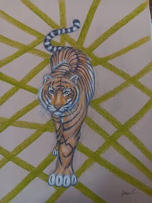 Tiger animal figure drawing pencil pastel Artist Jerome Cadd Green line tiger - Image 1 of 4