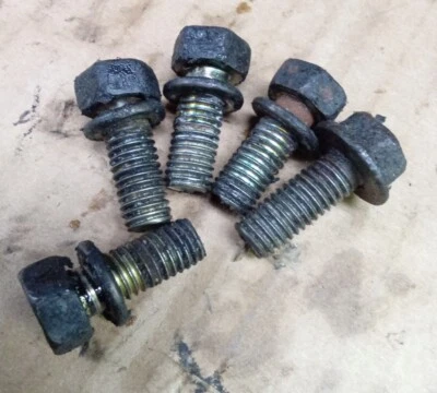 89-98 Nissan 240sx Ka24 Water Pump Bolts Altima D21 Screws S13 S14 Ka24e Ka24de - Image 1 of 2