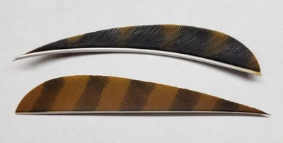 Plumas Trueflight 4" corte parabólico LW o RW - 1 docena barradas Foto 1 de 2