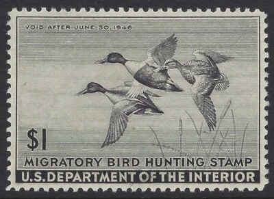 U.S. Scott # RW12 - PSE Graded XF / Superb 95 Mint NH                     (P-12) - Image 1 of 3