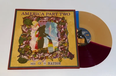 America Part Two Price Of A Nation Vinyl LP 2021 Indie Garage Rock Tri-color Foto 1 de 4