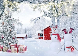 10X8Ft Weihnachten Winter Schnee Wald Hintergrund für Fotografie Weihnachten Winter Sc - Bild 1 von 5