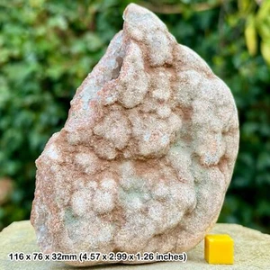 Rare Calcite Crystals in Vug - Sidmouth Mudstone Formation, Triassic, Sidmouth, - Picture 1 of 2
