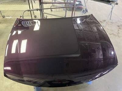 Campana Pontiac GTO 04-06.  Despegue.  Cosmos púrpura.  ¡Listo para atornillar a tu auto! Foto 1 de 2