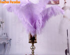 Lilac Lavender Ostrich Feathers/Plume/Wing/ Horse Feather 18-20 inches 5 Pcs 