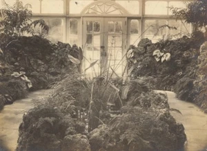 Anchorage Greenhouse Botanical USA Photo 1925 - Picture 1 of 3