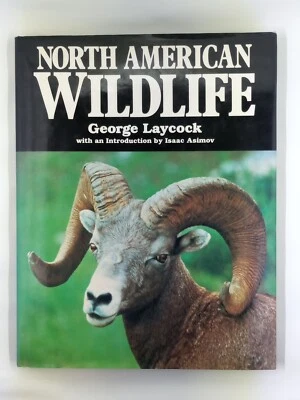 North American Wildlife - Image 1 of 4
