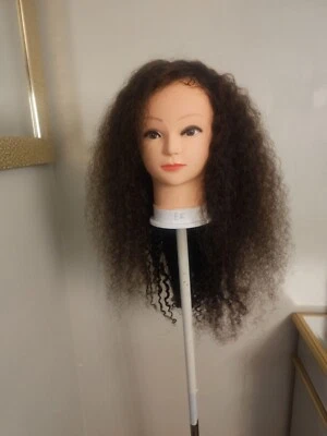 High Quality regular Top Brown 24" curly wavy 100% Virgin Human Hair Lace Wig  - Image 1 of 4