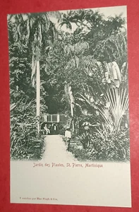 CPA MARTINIQUE - Jardin des Plantes - St. Pierre - Imagen 1 de 2