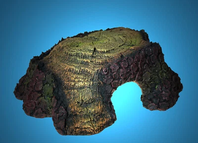 Aquarium Deko 🍀 GROßE FLACHE BAUMSTUMPF HÖHLE 🍀 Wurzel Baumstamm Zubehör Wels - Bild 1 von 4