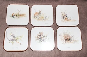 Montañas posavasadas vintage colección Casa 6 in caja para animales australianos espalda de corcho - Imagen 1 de 8