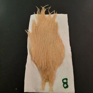 Barred Lt Ginger Grizzly Dry Fly Hackle Neck Cape Fly Tying Feathers #8 Auction - Bild 1 von 7