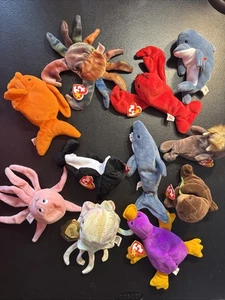 Ty Beanie Babys Aquatics. Konvolut 11 - Bild 1 von 12