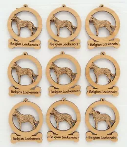Belgische Laekenois Mini Ornamente Schachtel mit 9 - Bild 1 von 1