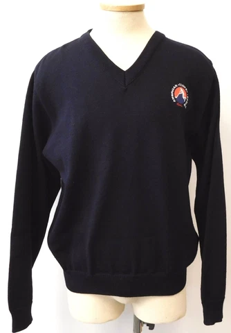 AHL VINTAGE V NECK BLACK SWEATER AMERICAN HOCKEY LEAGUE PATCH MEN'S SZ M EVUC Cover