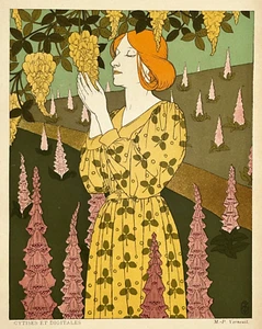 Cytises Digitales LITHOGRAPHIE Maurice Pillard VERNEUIL Art Nouveau FLEURS 1898 - Picture 1 of 2