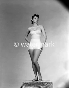 Vintage ACTRESS AVA GARDNER PIN UP - 8X10 PUBLICITY PHOTO - Picture 1 of 1