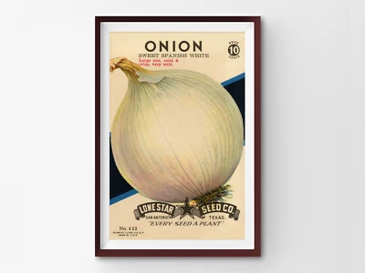 ¡PÓSTER de paquete de semillas de cebolla vintage! (hasta 24" x 36") - Cocina - Verduras - Arte Foto 1 de 4
