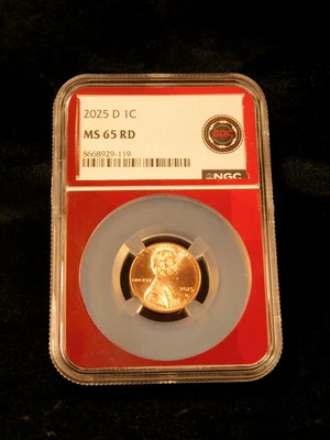 2025-D 1c Lincoln Sheild Cent - MS65RD - NGC - Image 1 of 4