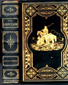 RARE 1876 FINE LEATHER PALESTINE SINAI ARABIA RED SEA ILLUSTRATED FINE BINDING - Picture 1 of 2