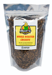 Whole Roasted Crickets by Bud's Cricket Power | Sustainable Insect Protein