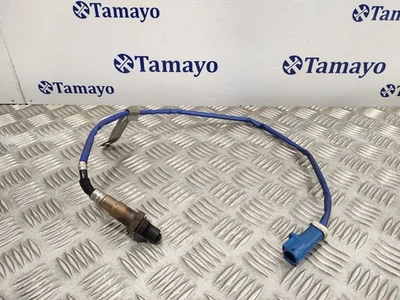 CV619G444CB SONDE LAMBDA / 0258010355 / 0258010356 / 1113811 POUR FORD C-MAX 1.0 - Photo 1/4