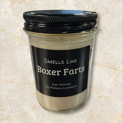 Peidos boxer | Vela de soja lavanda francesa | Donos de animais de estimação | Presentes para donos de cães - Imagem 1 de 3