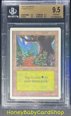 MTG Unlimited Edition 1993 Forest (B) BGS 9.5Q (TRUE QUAD) GEM MINT 93/94 - Image 1 of 4