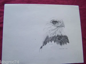 MINT- Mary Steins 1983 B&W print called, "BALD EAGLE!" - Picture 1 of 1