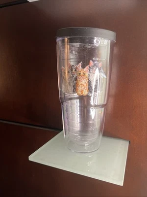 Vaso Teresa Owls 24 OZ Tervis tapa negra Foto 1 de 2