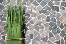 Marmor Mosaik Naturstein Bruchfliesen Wand Bodenmosaik Bad 44-30-120_f 10 Matten