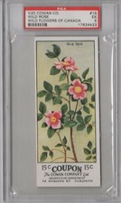 1920 Cowan Co. V20 Wild Flowers of Canada #15 Wild Rose Graded PSA 5