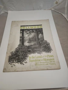 Rare! Graphic! Dellwood Real Estate Brochure Wisconsin Dells WI 1920's  - Picture 1 of 4