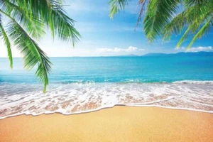Pnylzzyxh Summer Beach Backdrop Tropical Sand Beach Backdrop Hawaii Palm Leav... - Picture 1 of 7