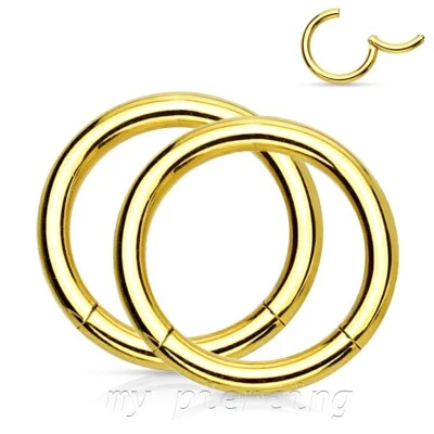 2 piezas. Pendiente anillo segmento sin costuras con bisagras cartílago labret tabique 20G a 8G Foto 1 de 4