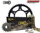 Yamaha YFZ R1 06-08 AFAM XSR Super-Heavy Duty Gold X-Ring Chain and Sprocket Kit