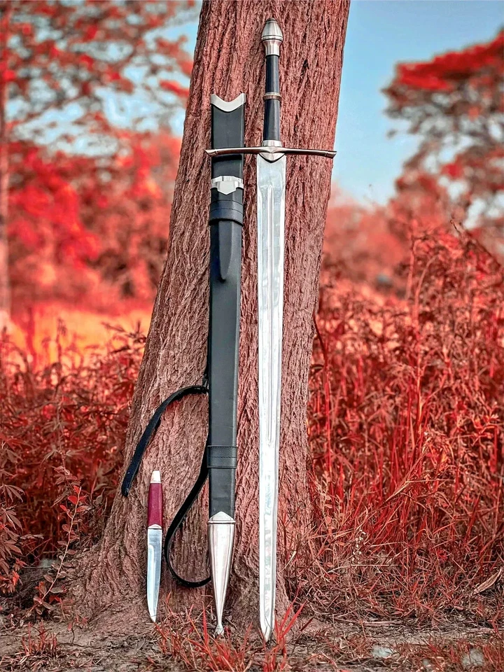 Espada vikinga de acero inoxidable forjada a mano hecha a mano, espada medieval lista para la caza Foto 1 de 4