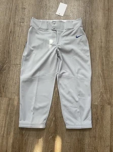 Nike Boys Vapor Select High Piped Baseball Pants Gray Blue Sz XL BQ6444-054 - Picture 1 of 4