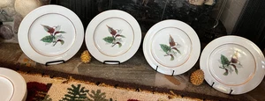 Platos de ensalada Craftsman China hechos en Japón Imperial 168 10" 4 EA adornos de oro de 18K - Imagen 1 de 19