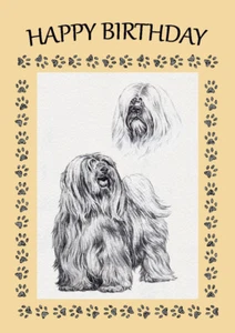 TIBETAN TERRIER SKETCH STUDY DOG BIRTHDAY GREETINGS NOTE CARD - Picture 1 of 1