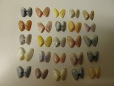 Lot of 25 Rare Butterfly Natural Seashells