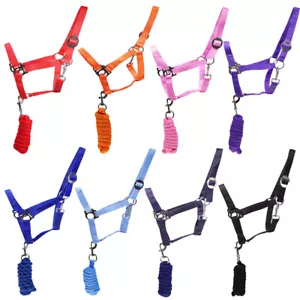 L-Sport Set Nylon Halfter und weicher Strick mit Karabinerhaken - Bild 1 von 9