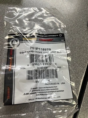 Junta de filtro de aire MTD 751P11897B R12 C Foto 1 de 2