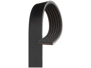 Multi Rib Belt For 2016-2021 Jeep Grand Cherokee 3.6L V6 2018 2017 2019 BS523JS - Picture 1 of 1