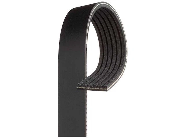 Cinturón multi costilla para Jeep Grand Cherokee 2016-2021 3,6 L V6 2018 2017 2019 BS523JS Foto 1 de 1