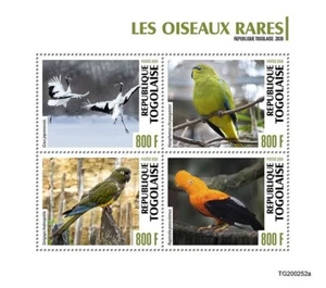 RARE BIRDS Parrots/Grouse Bird/Birds MNH 4-Value Stamp Sheet #1341 (2020 Togo) - Picture 1 of 1